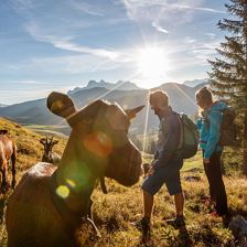 KAT Walk E6: Almenreich - Kühe, Käse und Kultur