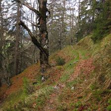 Warminger Höhenweg
