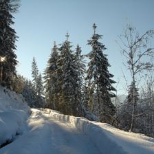 Winterwanderweg über den Glantersberg in die Kelchsau