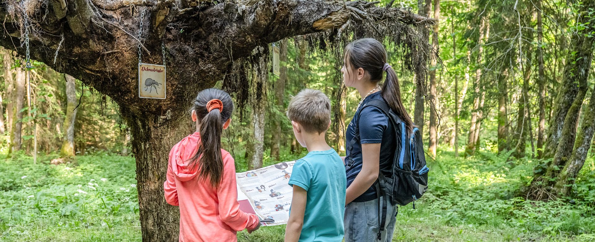 Eröffnung Yappy Rästelweg