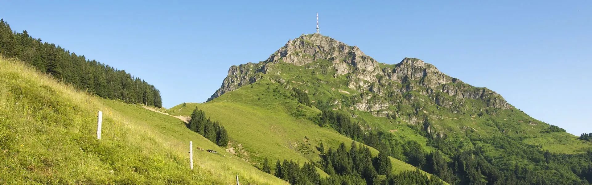 Kitzbüheler Horn - Region St. Johann in Tirol