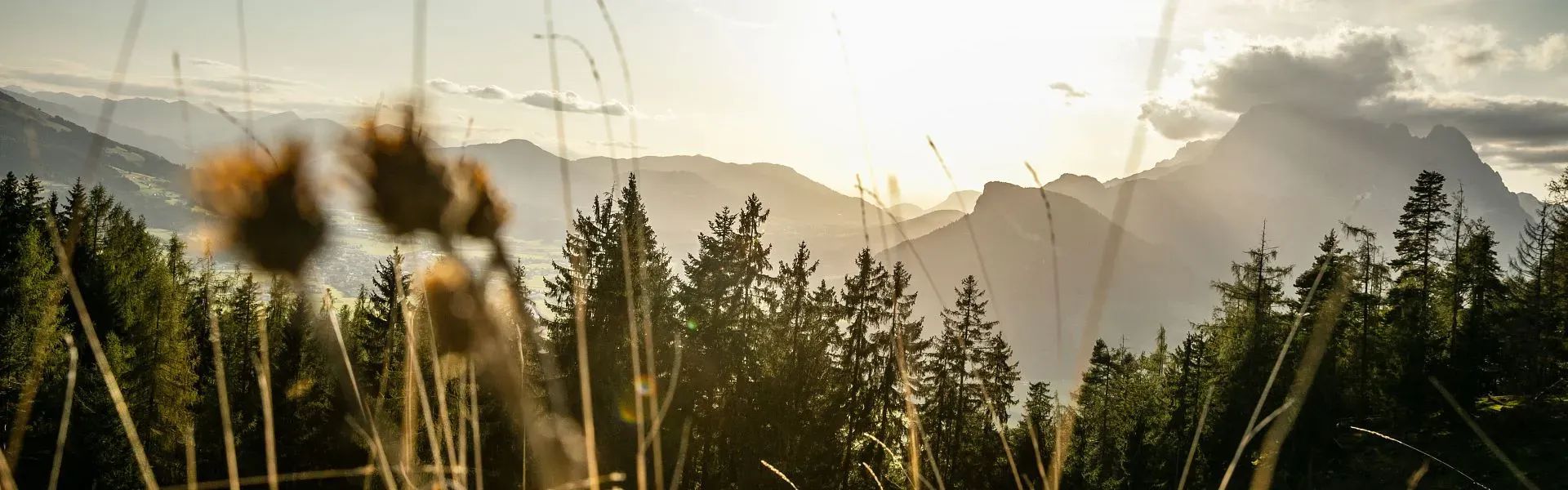 Landschaft im Herbst - Region St. Johann in Tirol