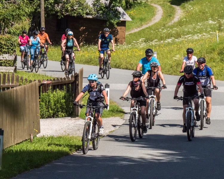 Gefhrte Mountainbike- / Ebike-Touren