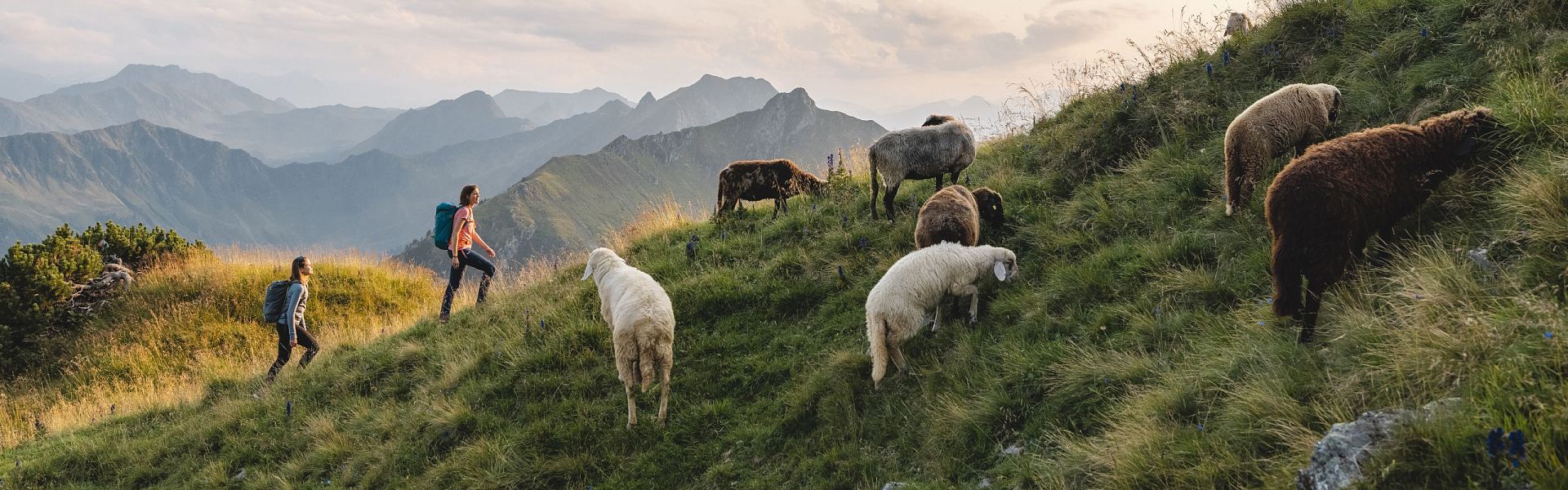 PillerseeTal - Fieberbrunn - Wandern