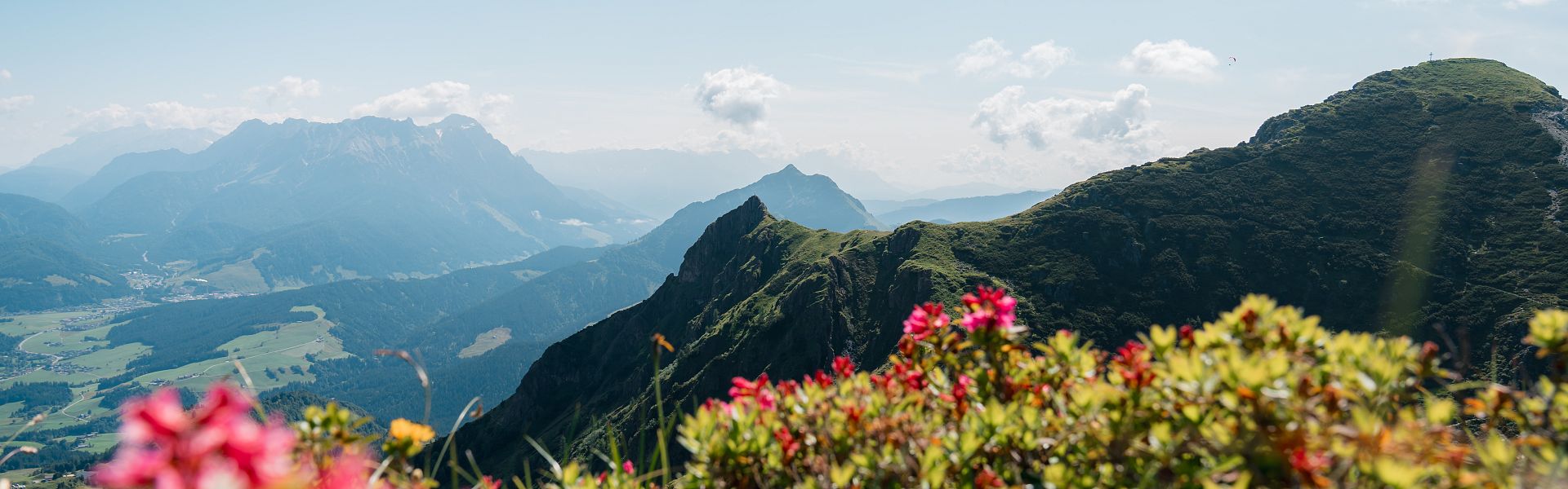 Wildseeloder ©  Stefan Ringler (8)