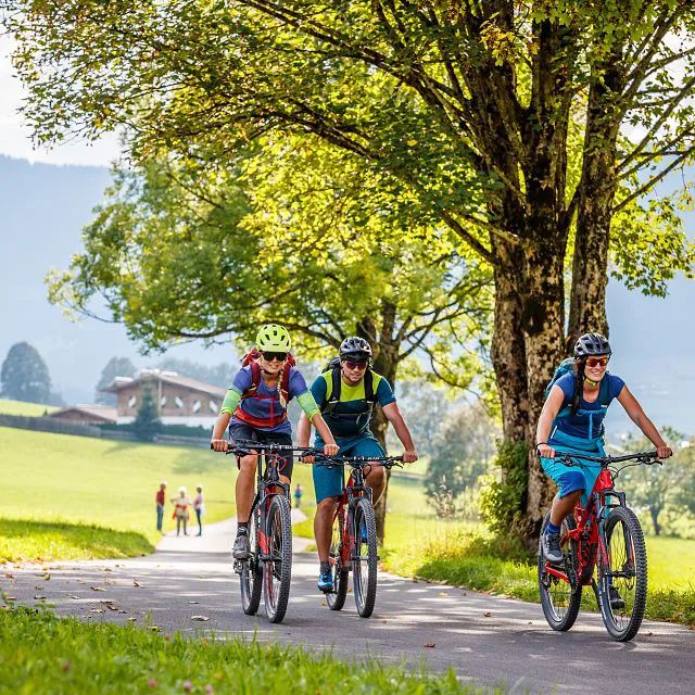 KAT Bike-Kitzbüheler-Alpen-Ausrollen der Mountainbiker am Radweg-Etappe 2-E-Haiden (1)