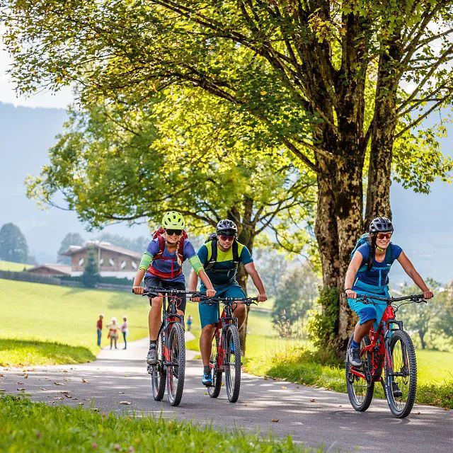 KAT Bike-Kitzbüheler-Alpen-Ausrollen der Mountainbiker am Radweg-Etappe 2-c-E-Haiden (1)