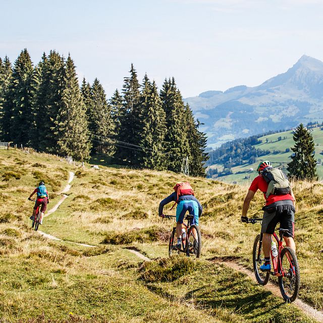 KAT Bike-Kitzbüheler-Alpen-Mountainbiker am Weg zum Wiegalmtrail-Etappe 3(c)E-Haiden  (3)