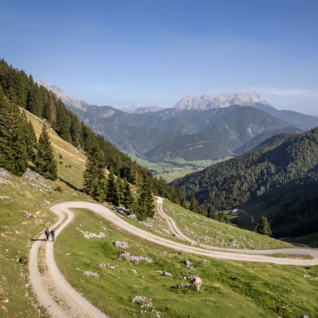 kat-bike-kitzbueheler-alpen-mountainbiker-vorbei-an-almen-Etappe-2-E.Haiden-1