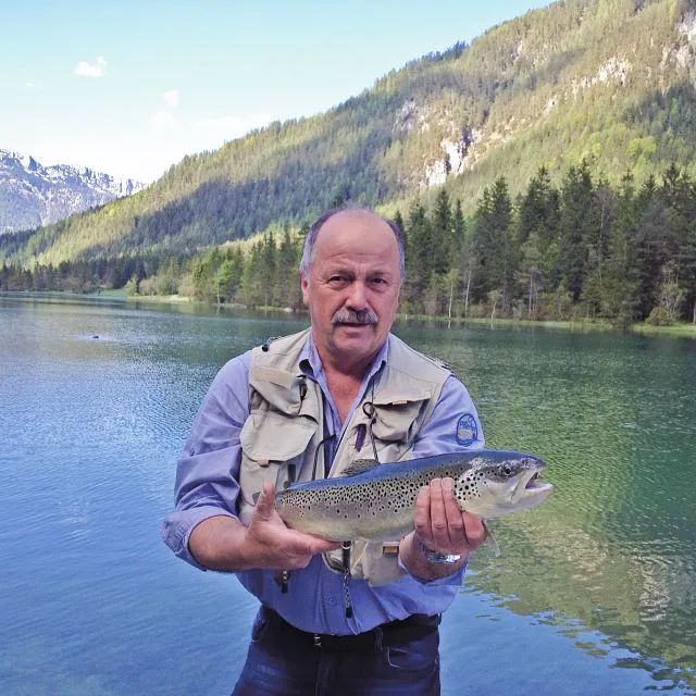 ➂ Pillersee en forel