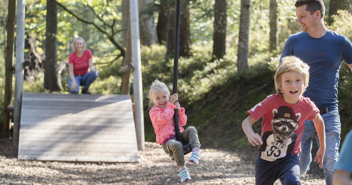 Moor & more Waldspielplatz
