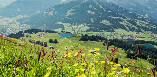 /media/gridteaser/aussicht-vom-gipfel-der-hohen-salve.jpg