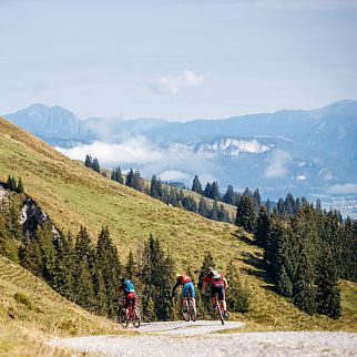 /media/gridteaser/kat-bike-kitzbueheler-alpen-mountainbiker-am-weg-zum-wiegalmtrail-etappe-3-c-e-haiden-1.webp