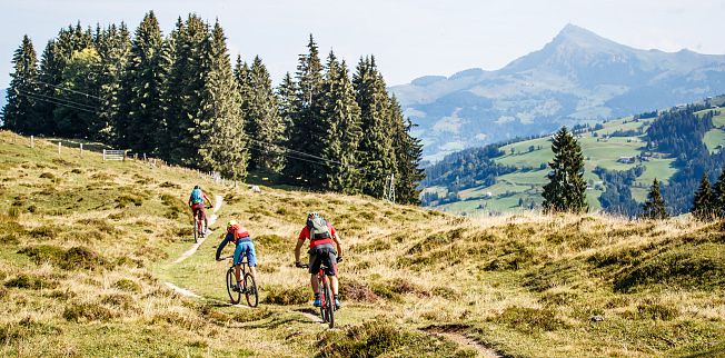 /media/gridteaser/kat-bike-kitzbueheler-alpen-mountainbiker-unterwegs-am-wiegalmtrail-etappe-3-c-e-haiden-6.webp