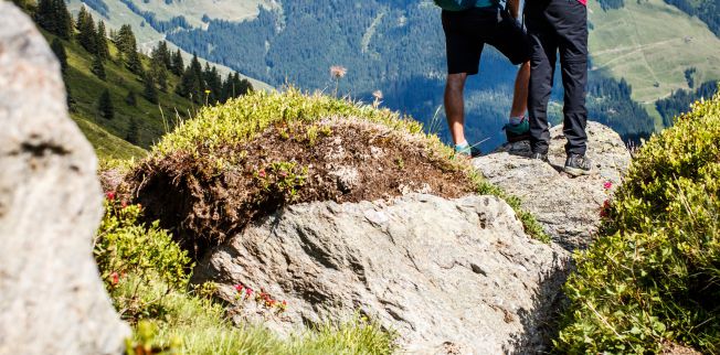 /media/gridteaser/kat-walk-kitzbueheler-alpen-wandern-ohne-gepaeck-in-den-kitzbueheler-alpen.jpg