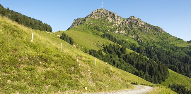 /media/gridteaser/kitzbueheler-horn-region-st.-johann-in-tirol-3.webp
