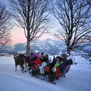 /media/gridteaser/kutschenfahrt-im-schnee-in-hopfgarten.webp