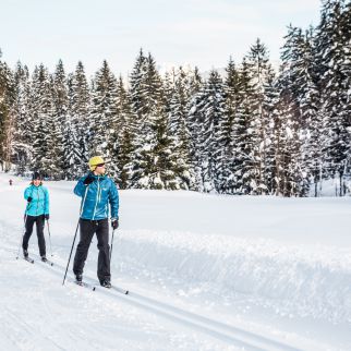 /media/gridteaser/langlaufen-hinterkaiser-region-st.-johann-in-tirol-foto-mirjageh-10.webp