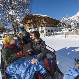 /media/gridteaser/lustige-pferdeschlittenfahrt-region-st.-johann-in-tirol.webp