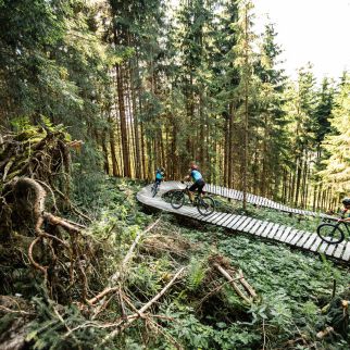 /media/gridteaser/mountainbike-und-single-trail-region-st.-johann-in-tirol-foto-mirja-geh-005-3.webp