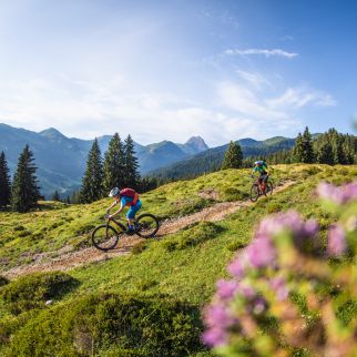 /media/gridteaser/mountainbiker-vor-bergpanorama-12.jpg
