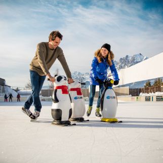 /media/gridteaser/paar-beim-eislaufen-panorama-badewelt.webp