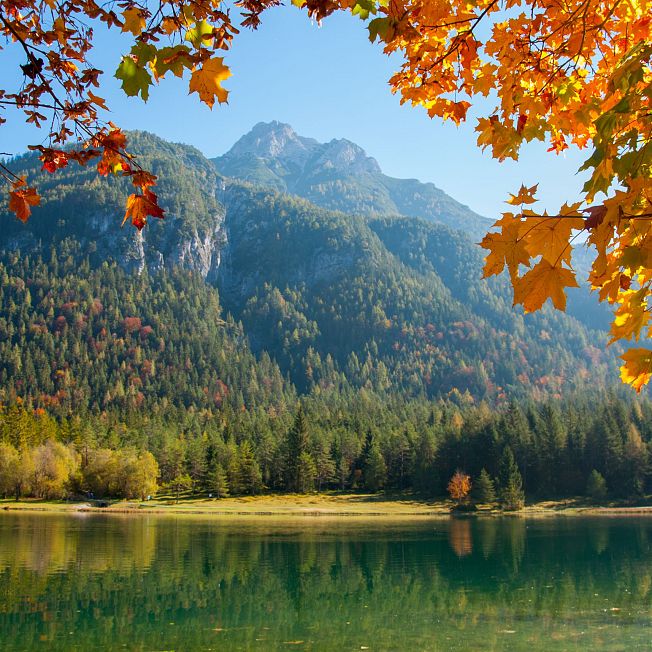 /media/gridteaser/pillerseetal-herbst-am-pillersee-1.webp