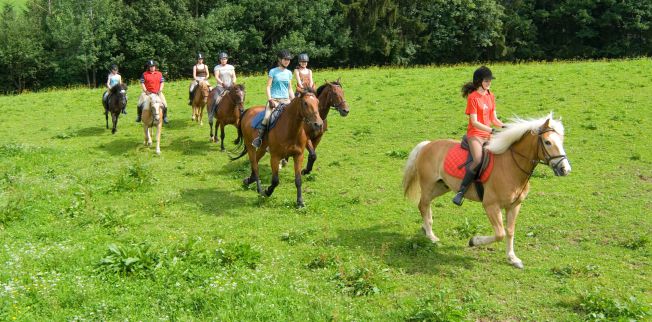 /media/gridteaser/reiten-im-brixental.webp