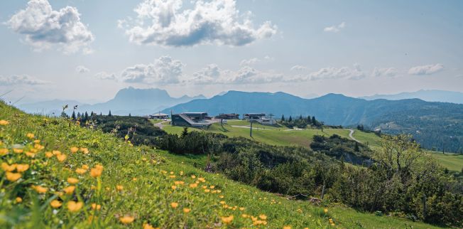 /media/gridteaser/steinplatte-waidring-sommer-bearb-ringler-stefan.webp
