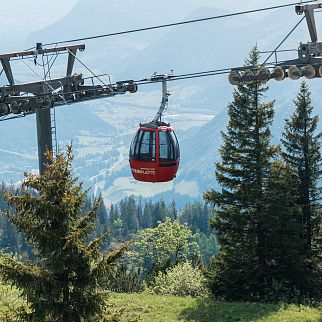 /media/gridteaser/steinplatte-waidring-sommer-ringler-stefan-11-3.webp