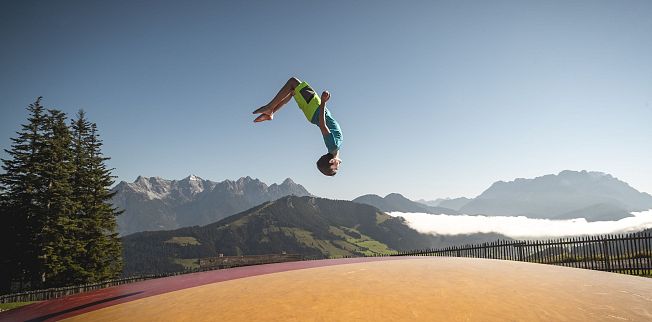 /media/gridteaser/timoks-wackelpudding-klaus-listl-freezingmotions-2.webp