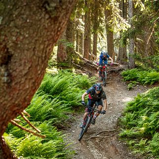 /media/gridteaser/trails-im-brixental-12.webp