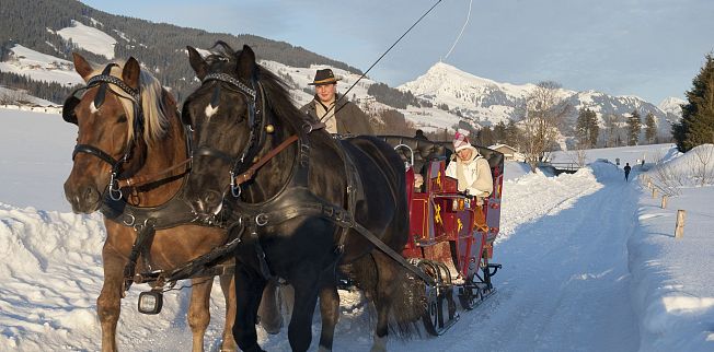 /media/gridteaser/tvb-brixental-winter-pferdeschlittenfahrt-1-3.webp