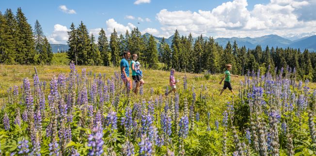 /media/gridteaser/wandern-familie-hohe-salve-114-4.webp