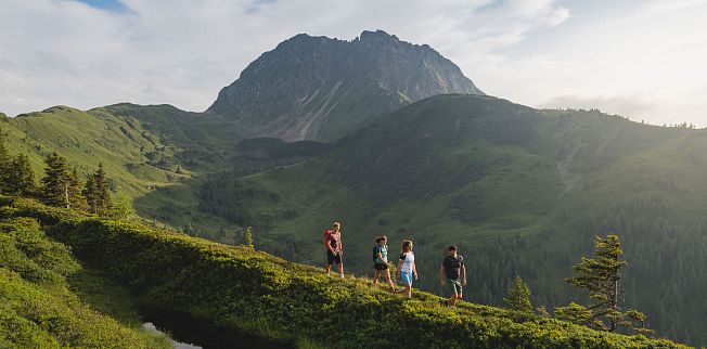 /media/gridteaser/wandern-im-brixental-c-tvb-kitzbueheler-alpen-brixental-fotograf-mathaeus-gartner-30.webp