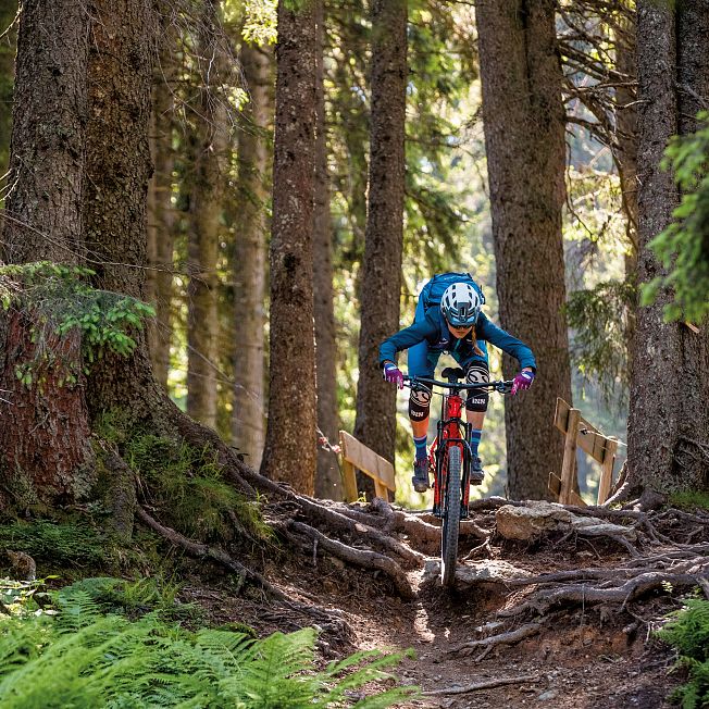 /media/gridteaser/wurzelpassage-am-singletrail-6.webp