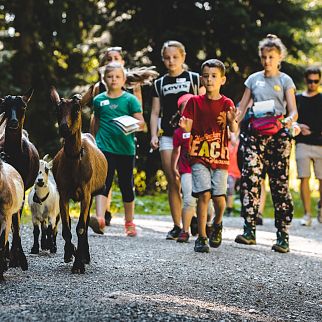 /media/gridteaser/ziegenwanderung-gaisberg-kinderprogramm-tvb-kitzbueheler-alpen-brixental-fotograf-mathaeus-gartner-21-18.webp
