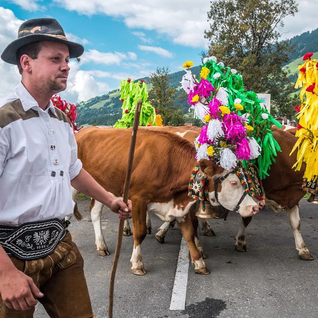 Almabtrieb & alpenfeest