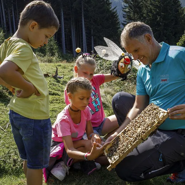 Programma voor kinderen & gezinnen