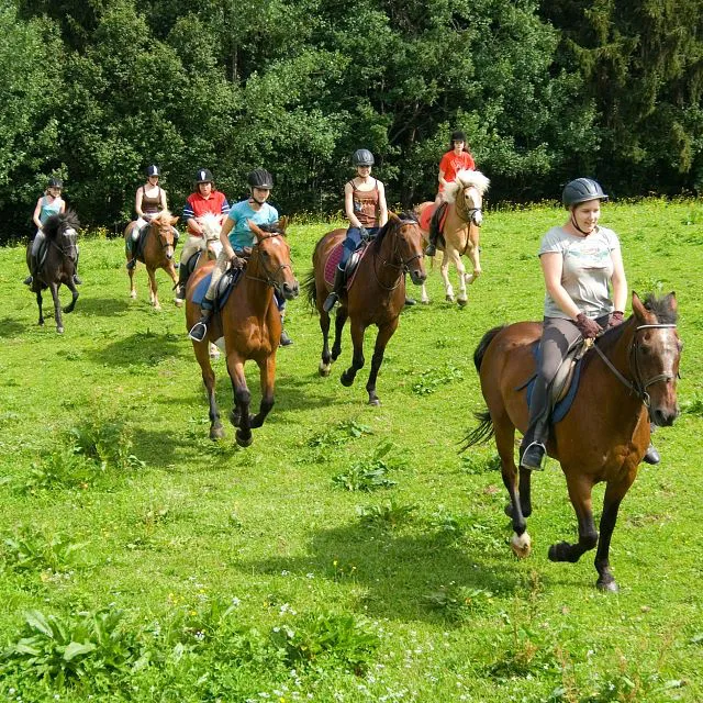 Paardrijden in het Brixental