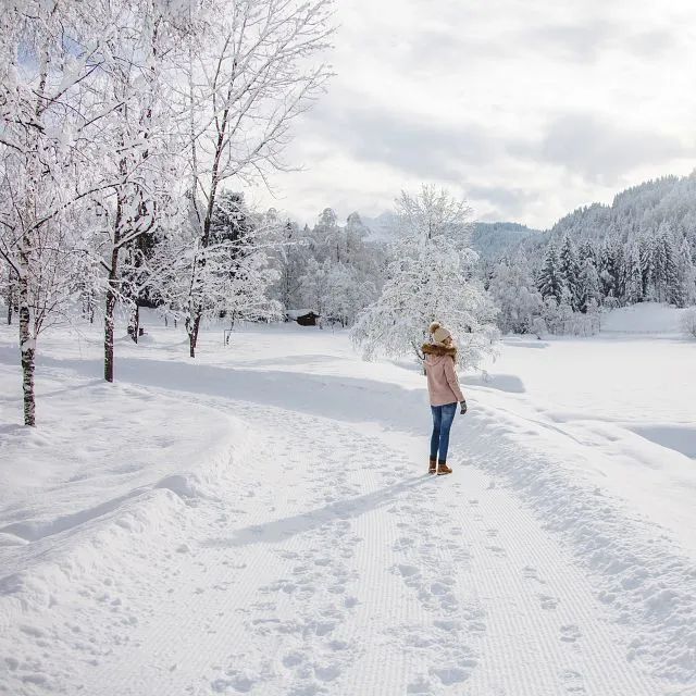 KAT Walk winter
