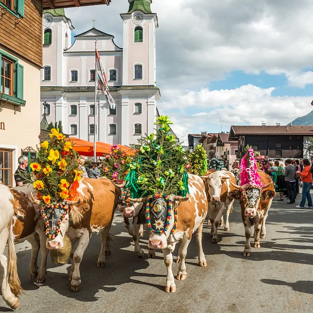 Da ist immer was los