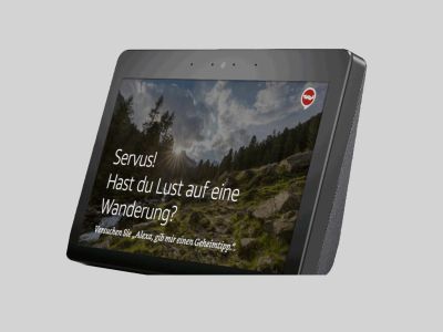 Alexa Skill und Google Assistant