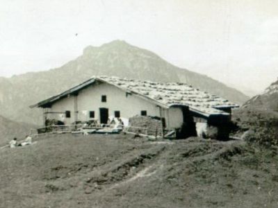 Entstehung und Geschichte der Almen