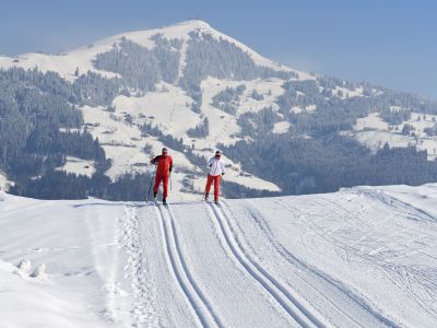 The cross-country ski trails of the Holiday Region Hohe Salve