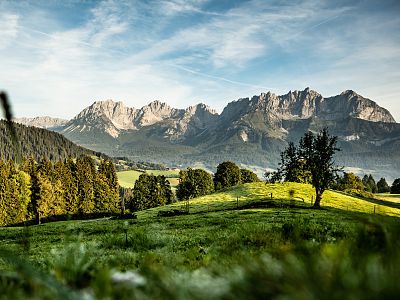 Region St. Johann in Tirol