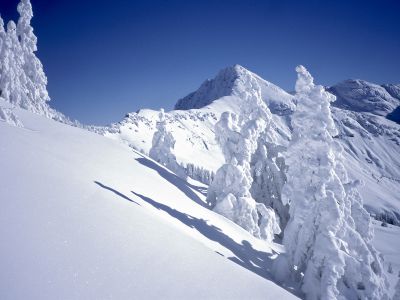 De sneeuwrijkste regio in Tirol