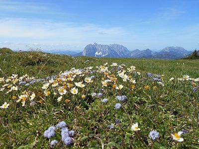 Frühlingsmomente im Pillerseetal
