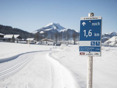 Cross-country skiing rules of conduct & Co