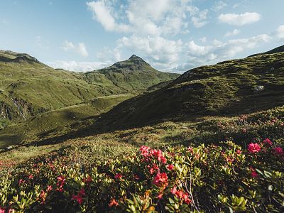 Region Hohe Salve